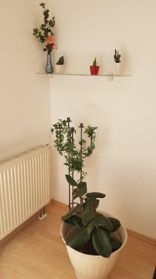 Evi'S Apartment Regensburg Kültér fotó